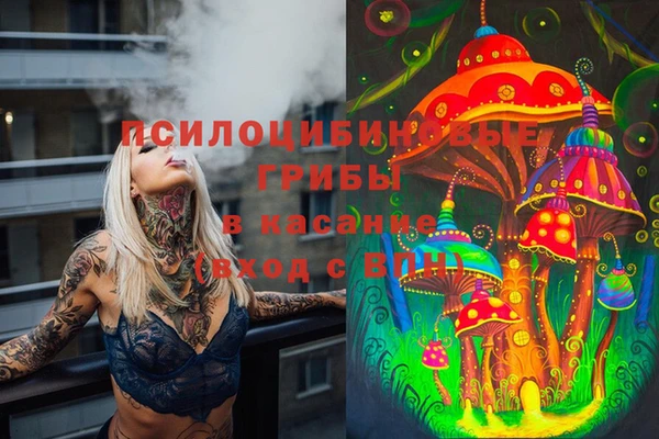 мет Арсеньев