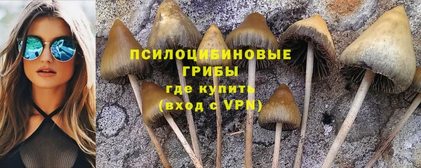 мет Арсеньев
