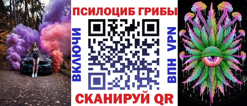 Псилоцибиновые грибы Cubensis Среднеуральск