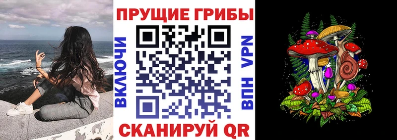 Псилоцибиновые грибы мицелий  Среднеуральск 